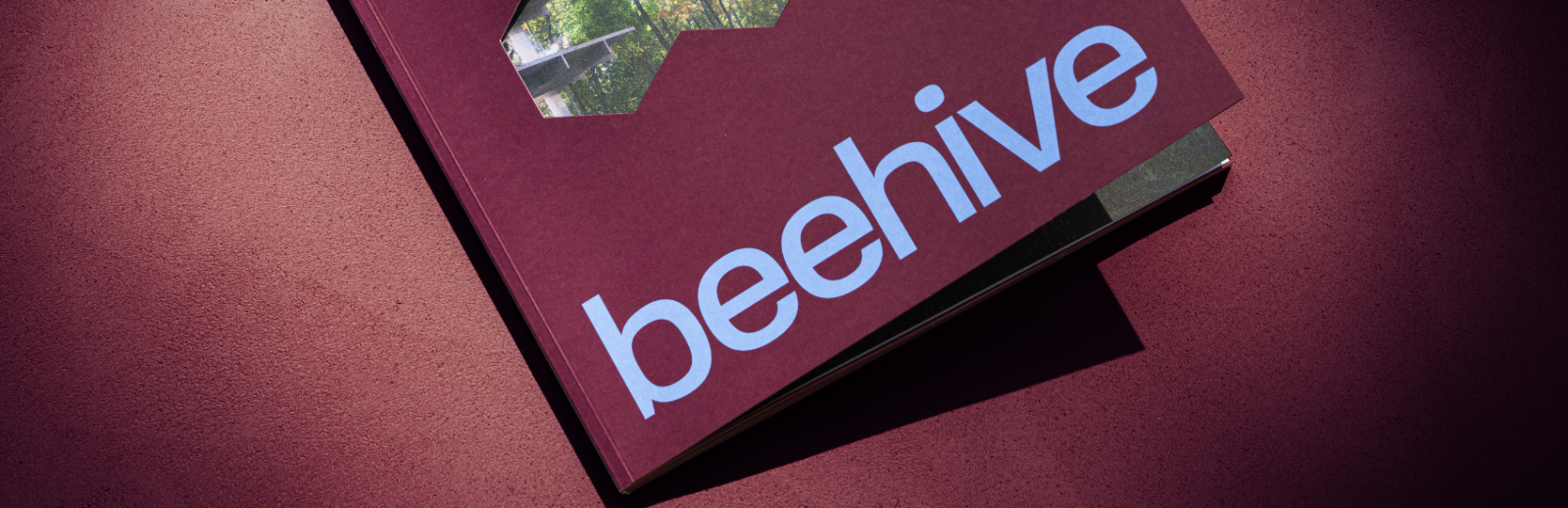 Hoe we Beehive hielpen bij hun jaar- en duurzaamheidsverslag